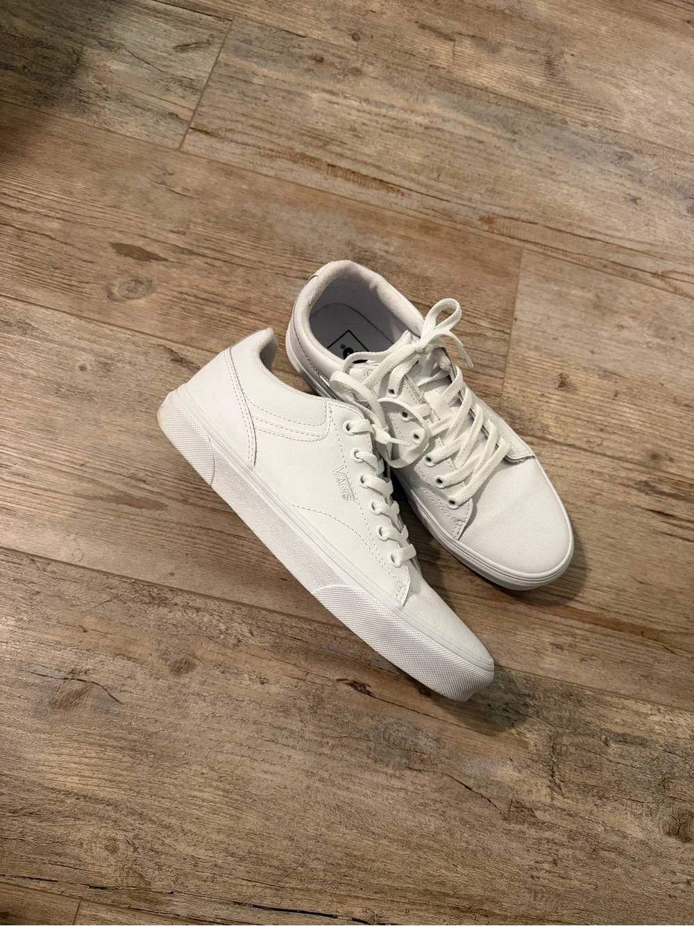 Vans classic low